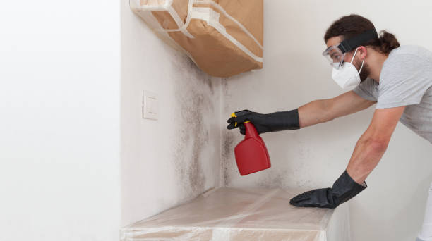 Professional Bathroom Mold Removal technician working in Cherry Hill, NJ