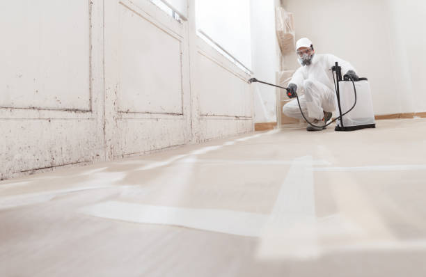 24/7 Emergency Bathroom Mold Removal experts in Cherry Hill, NJ