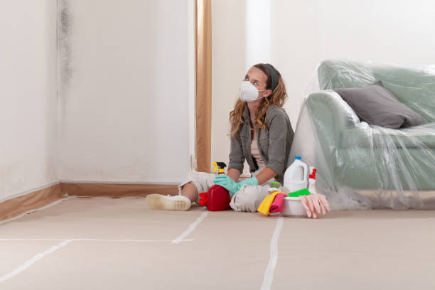 Reliable Bathroom Mold Removal contractor in Cherry Hill, NJ by Mold Remediation HQ